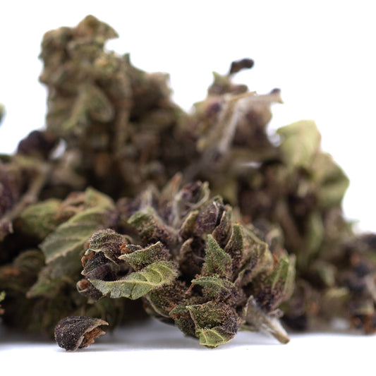 Bubba Kush CBD Hemp Flower Full-Term #2 Smalls Wholesale