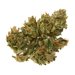Bubble Gum CBD Hemp Flower Full-Term - Plants