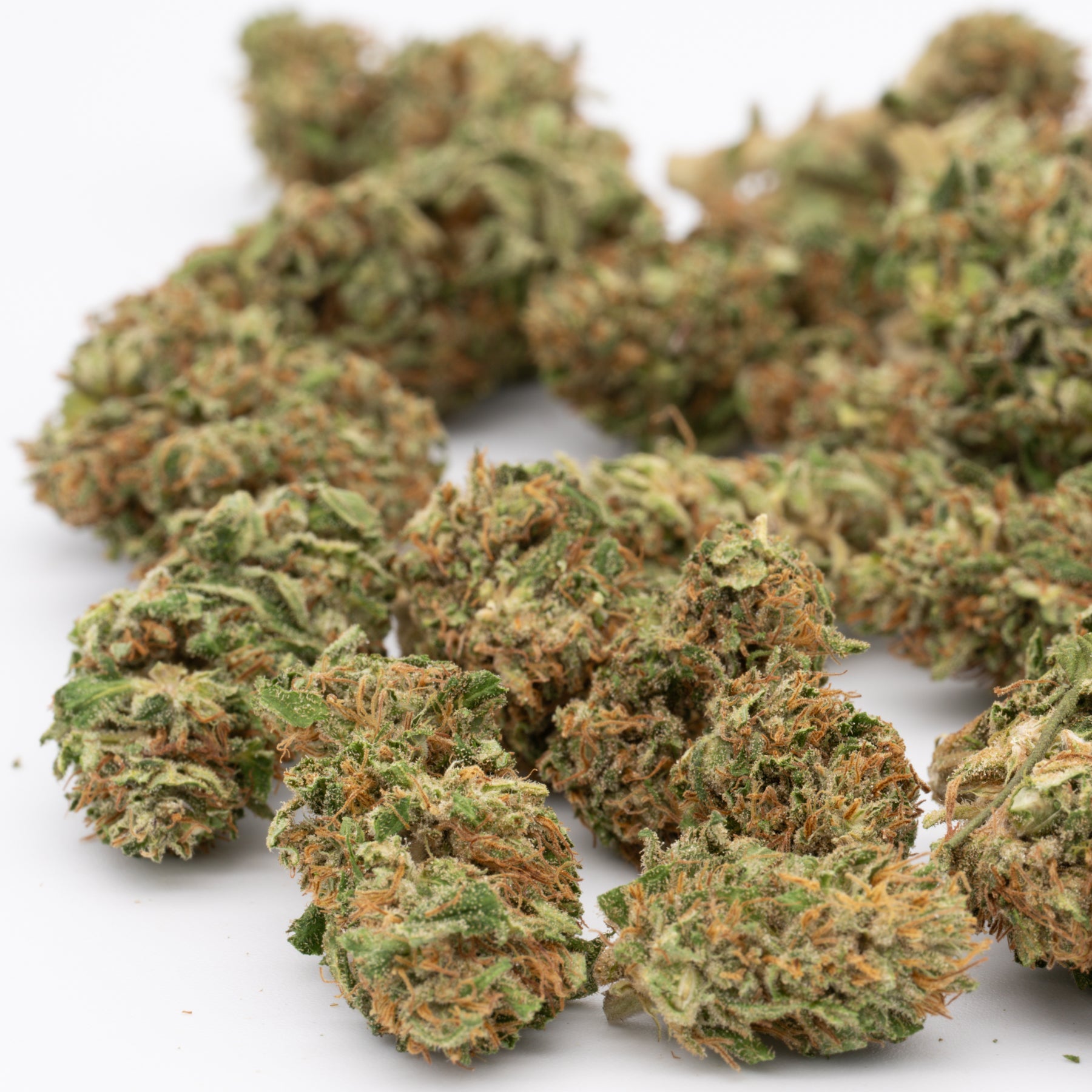 Bubble Gum CBD Hemp Flower Full-Term - Plants