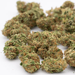 Bubble Gum CBD Hemp Flower Full-Term - Plants