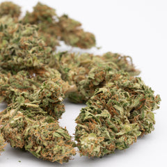 Bubble Gum CBD Hemp Flower Full-Term - Plants