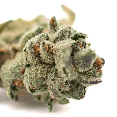 Butter OG Indoor THCa Flower Smalls - Plants