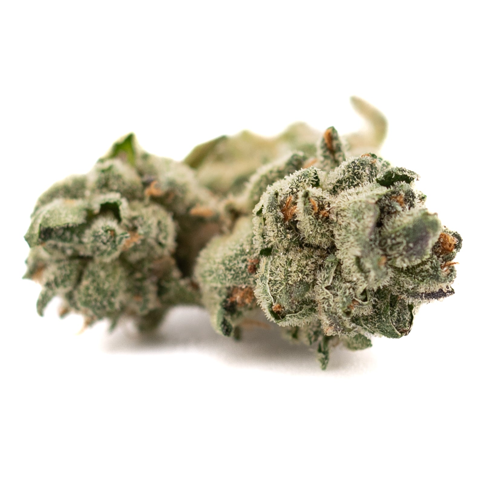 Butter OG Indoor THCa Flower Smalls - Plants