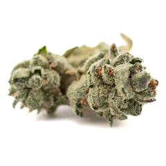 Butter OG Indoor THCa Flower Smalls - Plants