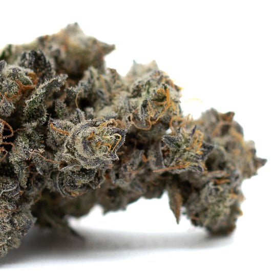 Butter OG Indoor THCa Flower - Plants