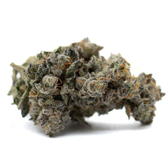 Butter OG Indoor THCa Flower - Plants