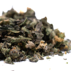 Butter OG Indoor Trim Wholesale 1LB - 1 LB - Plants