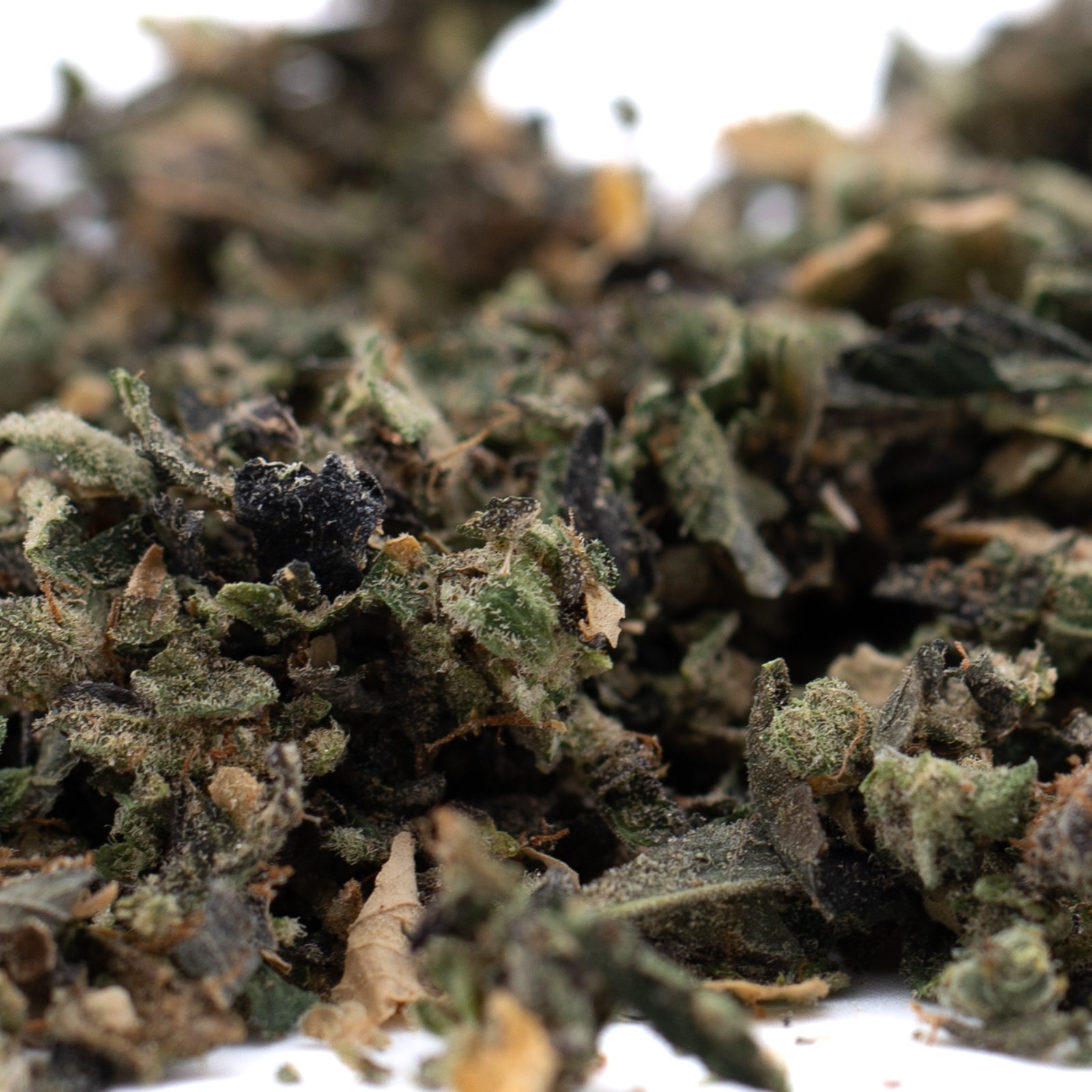 Butter OG Indoor Trim Wholesale 1LB - 1 LB - Plants