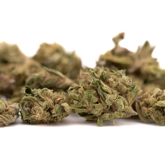 CBG Hemp Flower Smalls - Plants