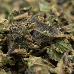 Cadillac Rainbow THCa Indoor Trim Wholesale 1LB - 1 LB - Plants