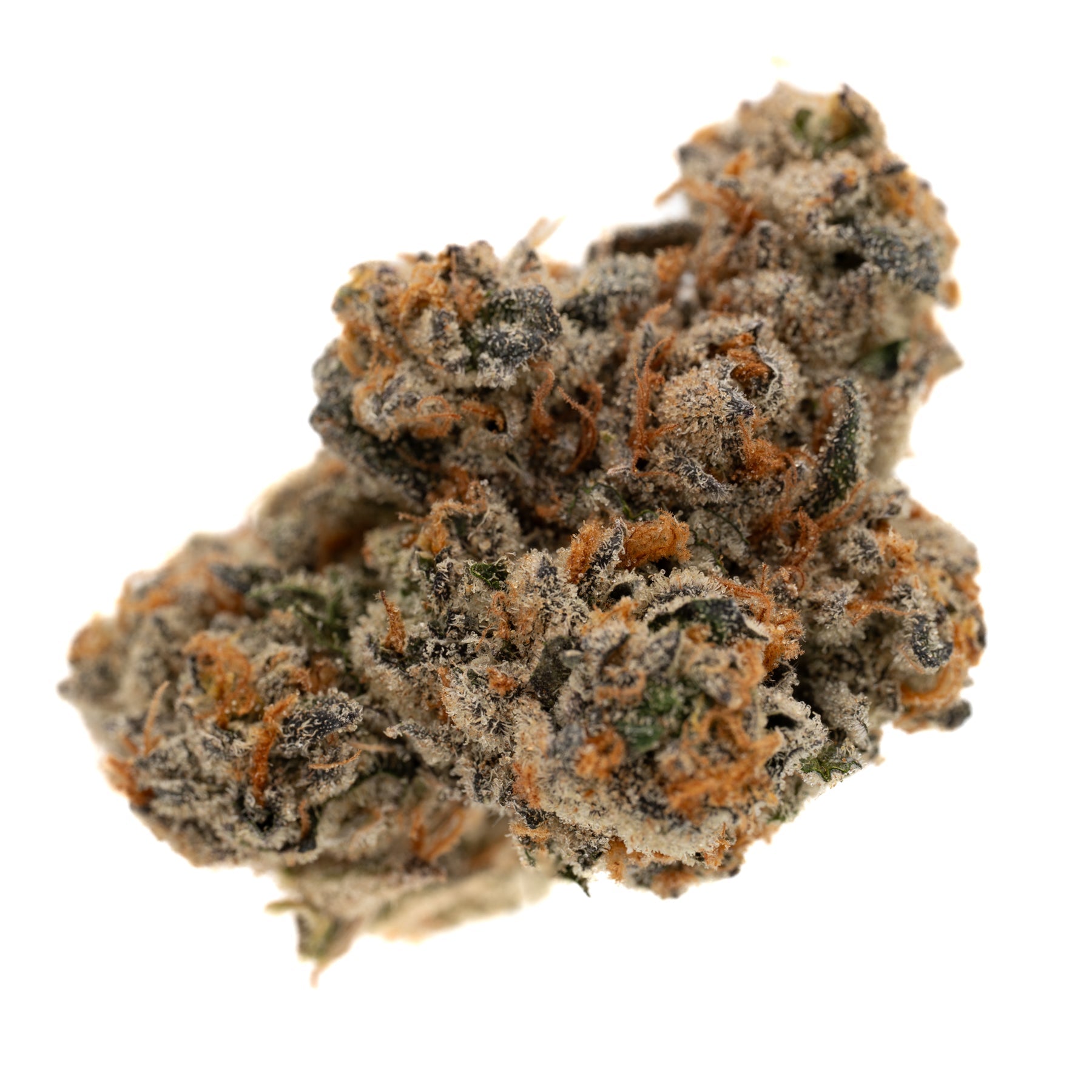 Cadillac Rainbow THCa Indoor Flower - Plants
