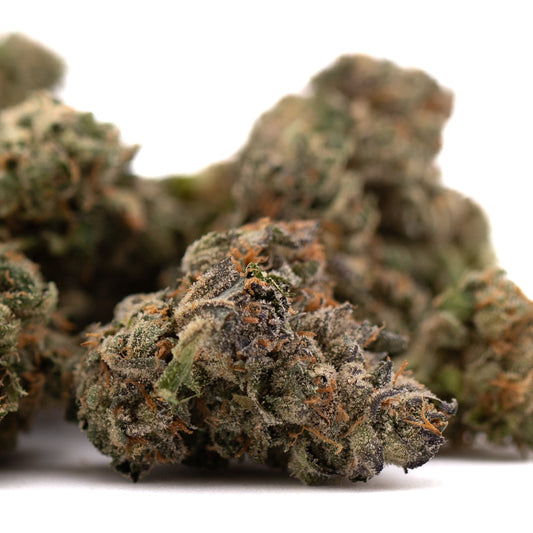 Canal Street Runtz Indoor THCa Flower - Plants