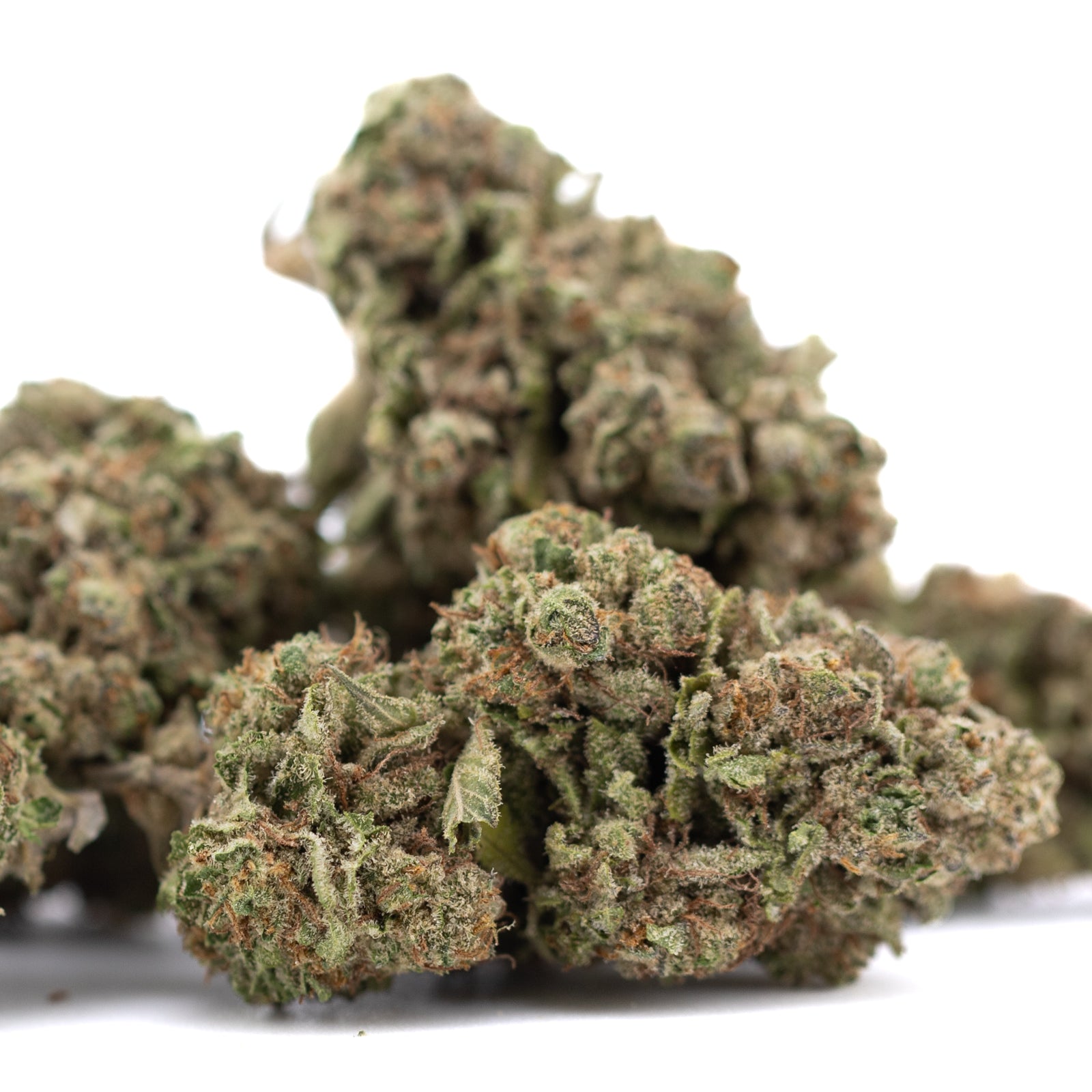 Candy Pave THCa Hemp Flower Greenhouse - Plants
