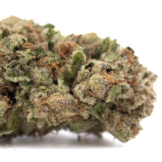 Candy Pave THCa Hemp Flower Greenhouse - Plants