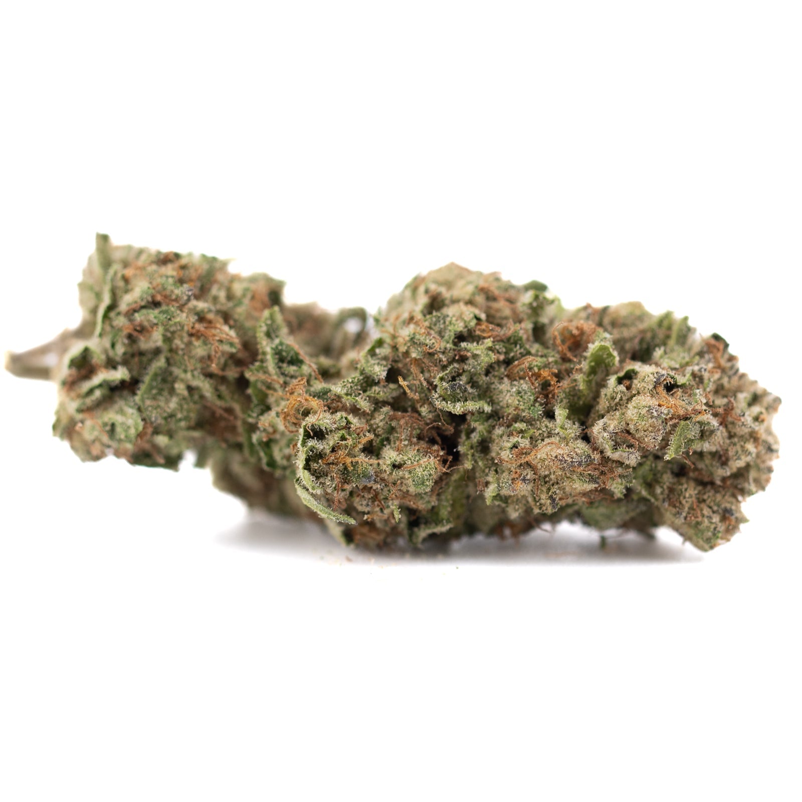 Candy Pave THCa Hemp Flower Greenhouse - Plants