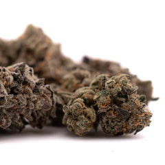 Cherry Pie THCa Indoor Flower - Plants