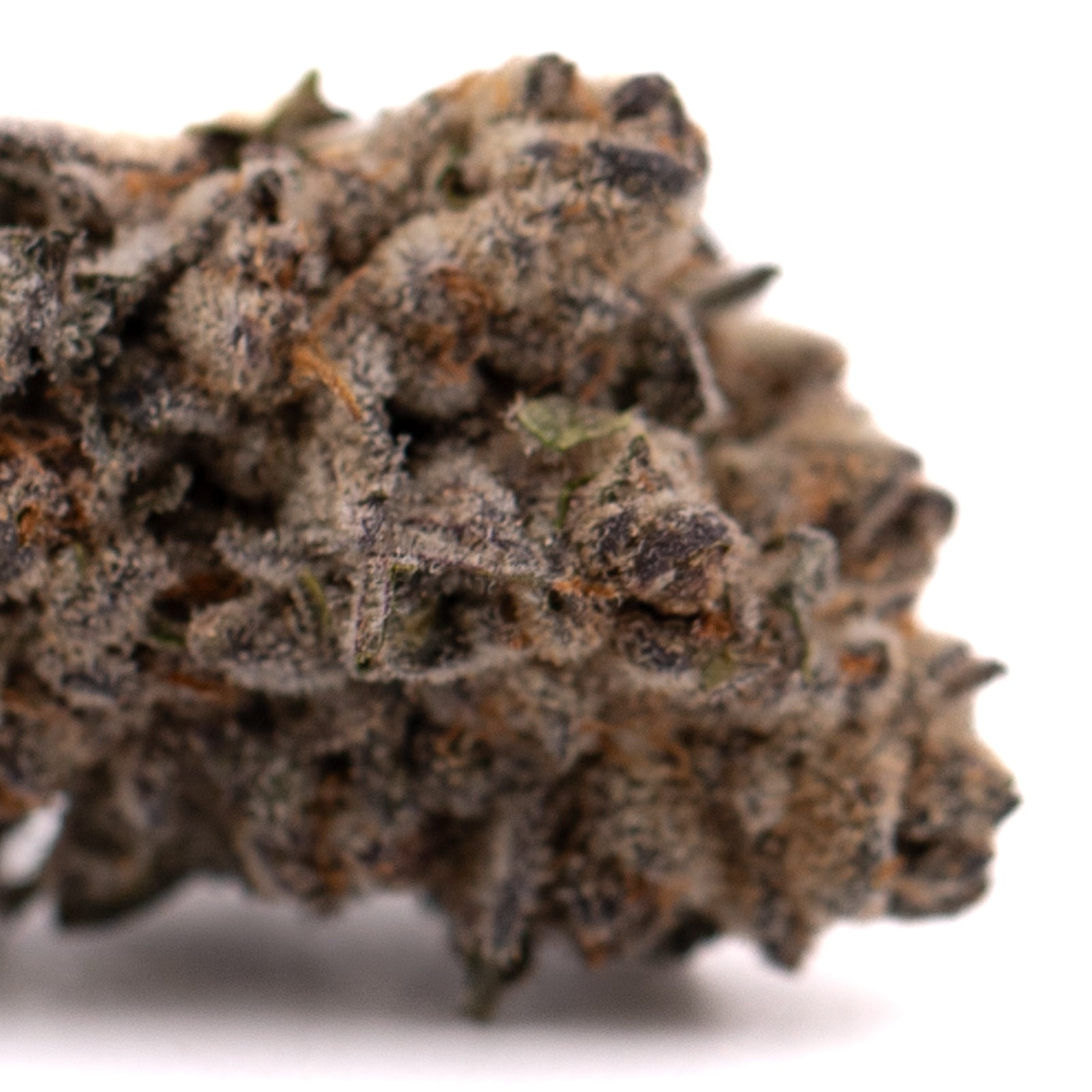 Cherry Pie THCa Indoor Flower - Plants