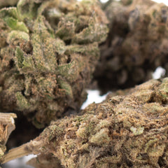 Cherry Truffle THCa Hemp Flower Greenhouse