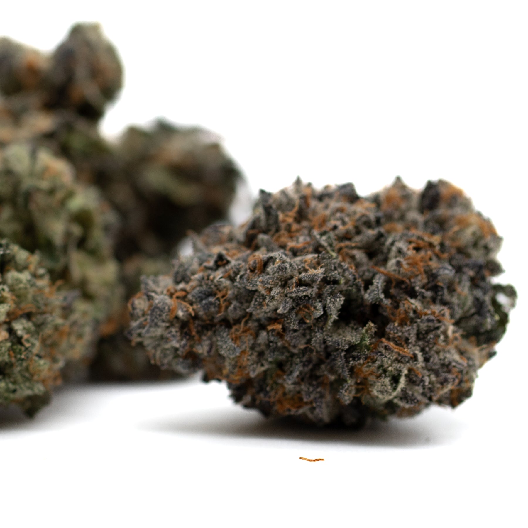 Chunky Monkey Indoor THCa Flower - Plants
