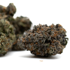Chunky Monkey Indoor THCa Flower - Plants