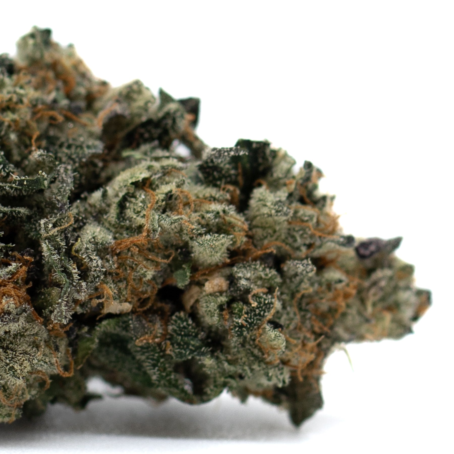 Chunky Monkey Indoor THCa Flower - Plants
