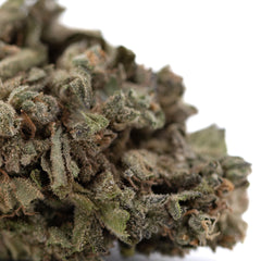 Cream Caramel THCa Flower Full-Term