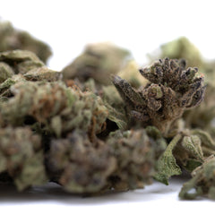 Cream Caramel THCa Flower Smalls Full-Term