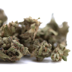 Cream Caramel THCa Flower Smalls Full-Term