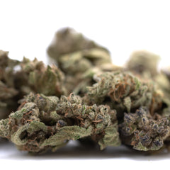 Cream Caramel THCa Flower Smalls Full-Term