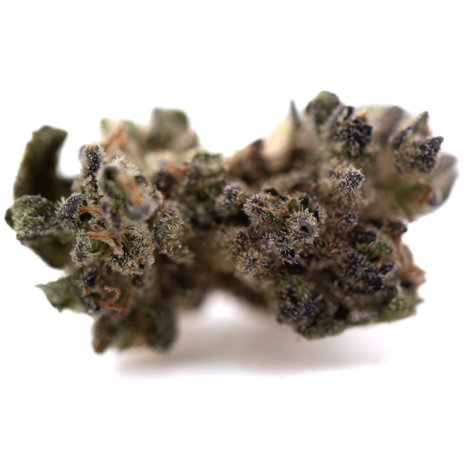 Premium Cream Caramel THCa Flower Smalls with dense green and purple buds