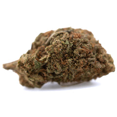 Critical Berries CBD Full-Term Hemp Flower Wholesale