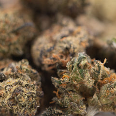 Critical Berries CBD Full-Term Hemp Flower Smalls