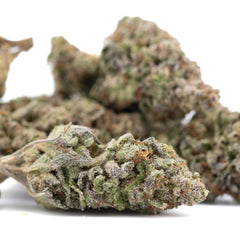 DEA-4 THCa Hemp Flower Greenhouse Wholesale