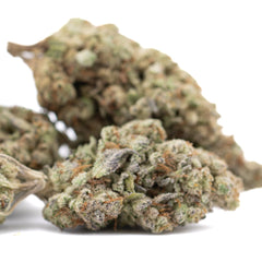 DEA-4 THCa Hemp Flower Greenhouse - Plants