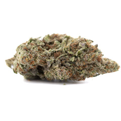 DEA-4 THCa Hemp Flower Greenhouse - Plants
