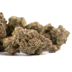 Daily Grape THCa Hemp Flower Greenhouse