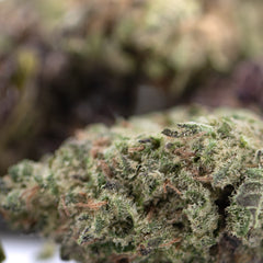 Daily Grape THCa Hemp Flower Greenhouse Smalls