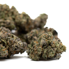 Dark Jokerz Indoor THCa Flower - Plants