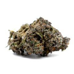 Dark Jokerz Indoor THCa Flower - Plants