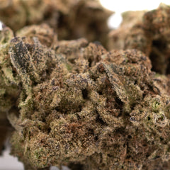 Deep Space THCa Hemp Flower Greenhouse Wholesale