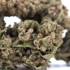 Dirty Laundry THCa Flower Full-Term