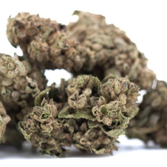 Dirty Laundry THCa Flower Full-Term