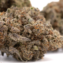 Dough Boy THCa Hemp Flower Greenhouse