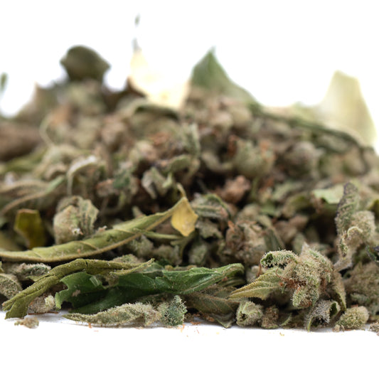 Durban Poison Full-Term THCa Trim Wholesale