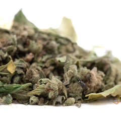 Durban Poison Full-Term THCa Trim Wholesale