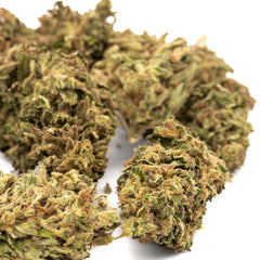 Early Nueve CBD Hemp Flower Full-Term - Plants