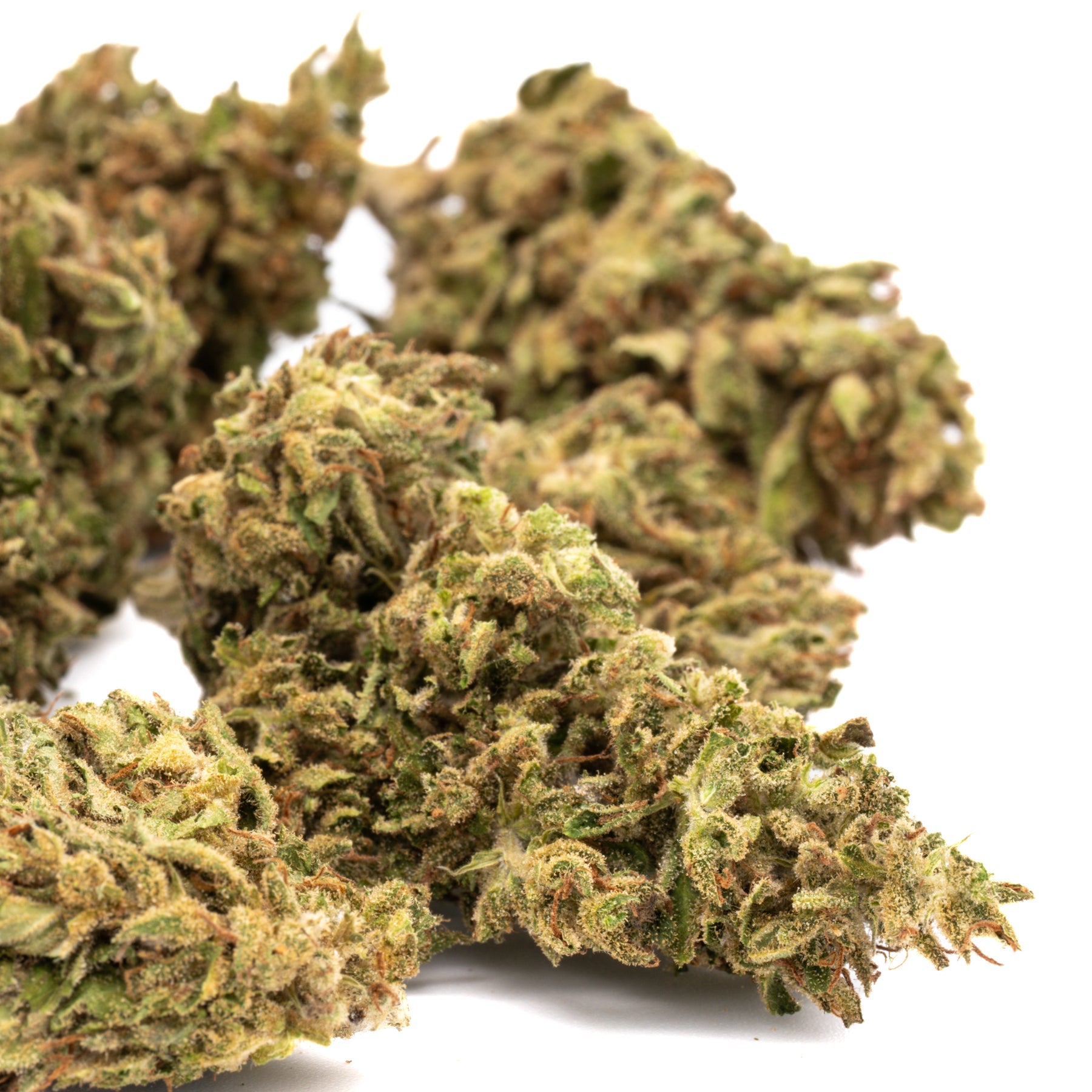 Early Nueve CBD Hemp Flower Full-Term - Plants