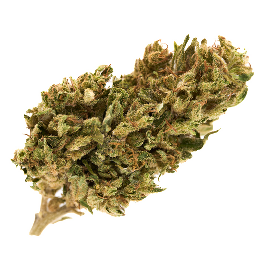 Early Nueve CBD Hemp Flower Full-Term - Plants