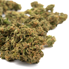 Early Remedy CBD Hemp Flower - Plants