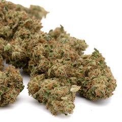 Early Wu CBD Hemp Flower Full-Term - Plants